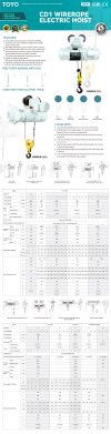 CD1 Wirerope Electric Hoist(X)