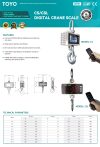 CS,CSL Scale Digital Crane（x)
