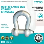 BG2130 Large Size Forged Shackles