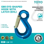 G80 Eye-Shaped Hook With Latch (EHL)